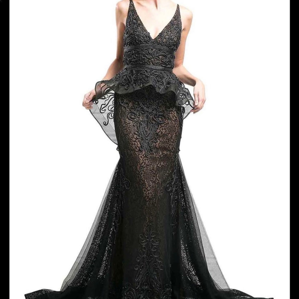 Brand new with tags gown! - Picture 1 of 8